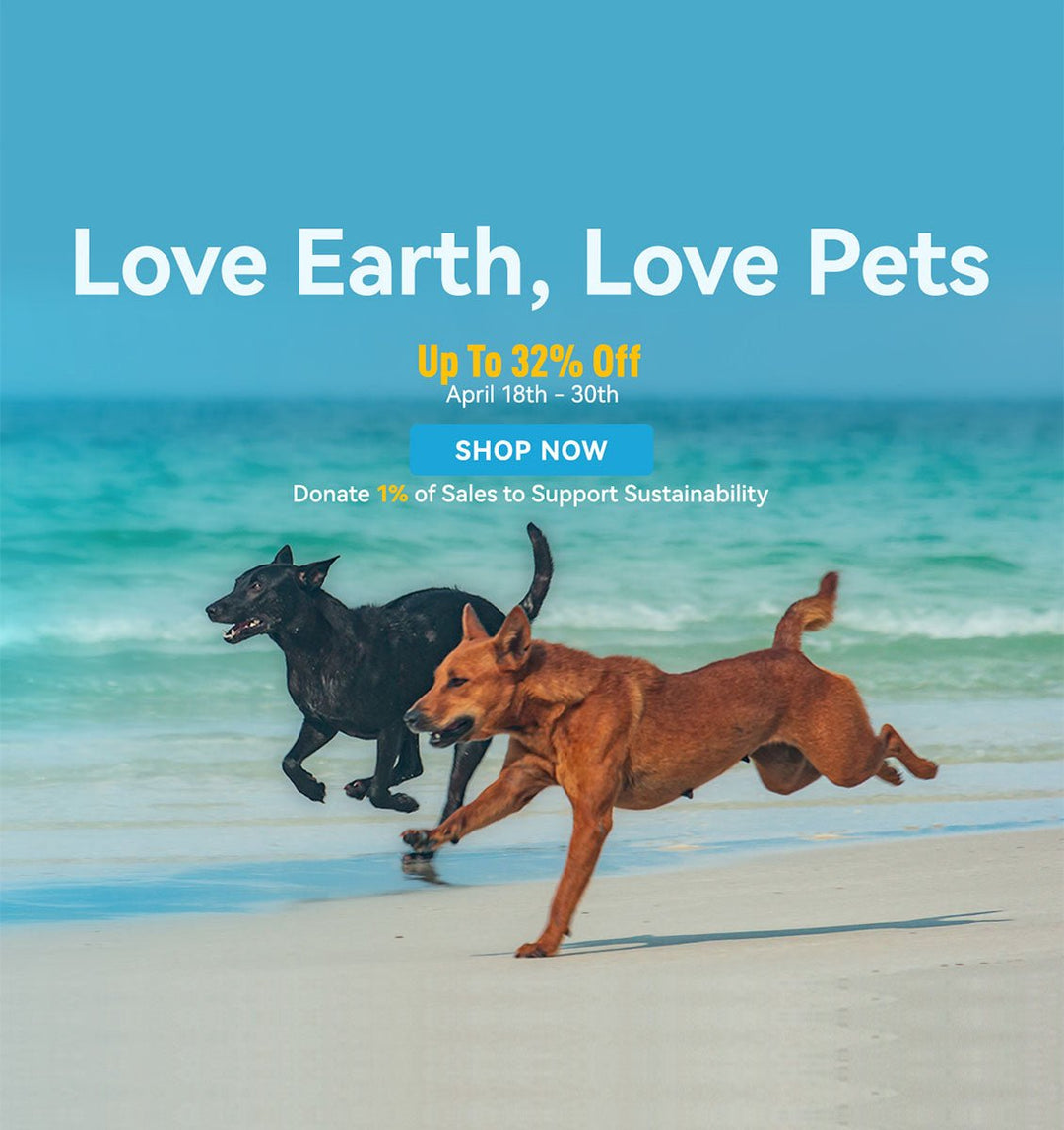 living eco-friendly with pets