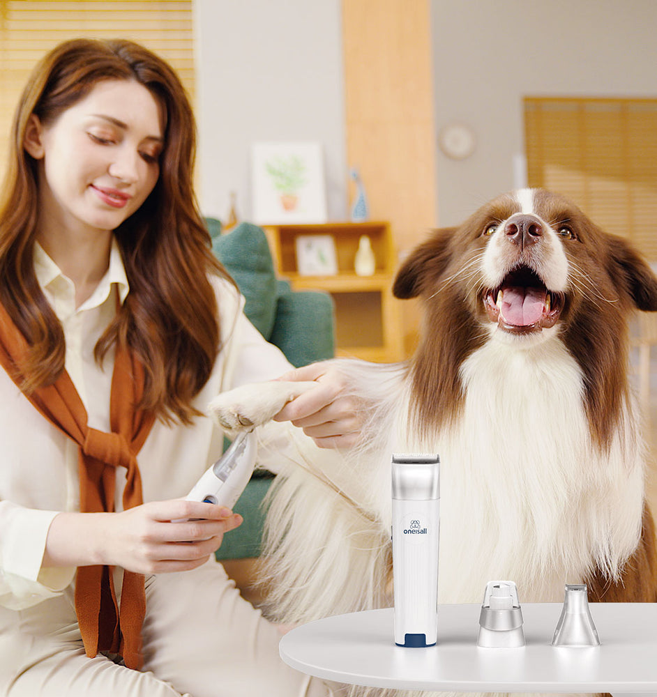 Keep Your Pet Looking Great with Pet Grooming Kit
