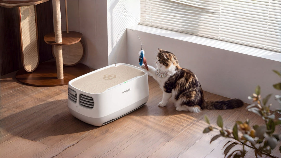 Oneisall PP03 air purifier placement beside a cat lounge area
