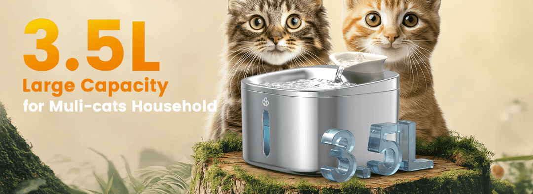 Pet Water Fountain