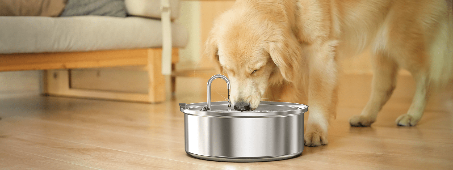 30-lb nutro wholesome essentials natural adult dry dog food Nutro Natural Choice Adult Healthy Weight Chicken & Brown Rice Dry Dog Food 30-lb main image 0