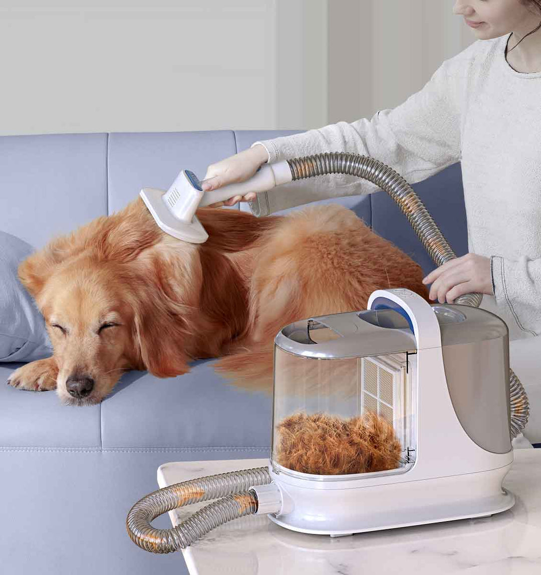 The Importance of Dog Hair Trimming