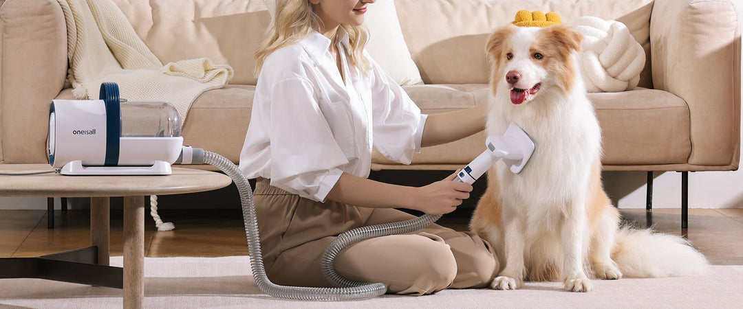 the importance of regular brushing for your dog's coat health