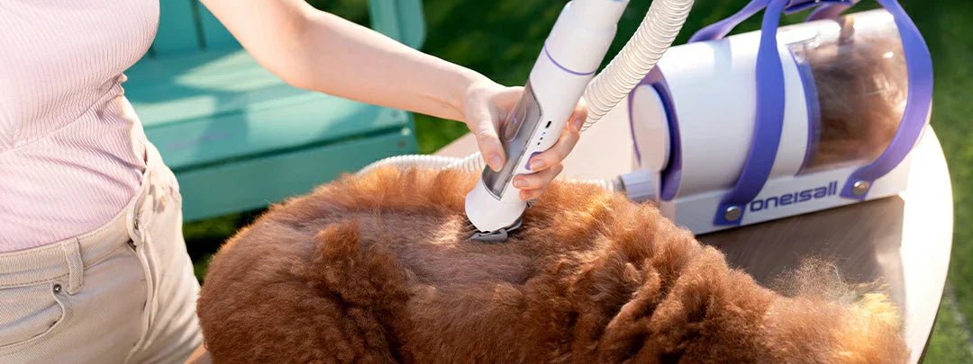 The Ultimate Guide to Grooming and Bathing Your Dog