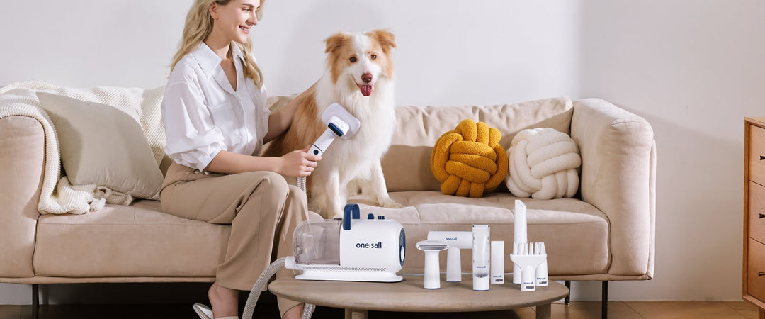 the ultimate guide to pet grooming