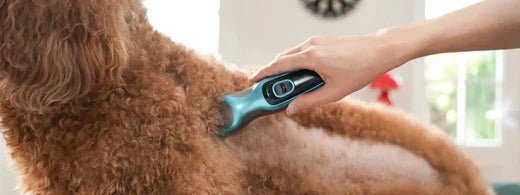 Top 5 Best Dog Clippers