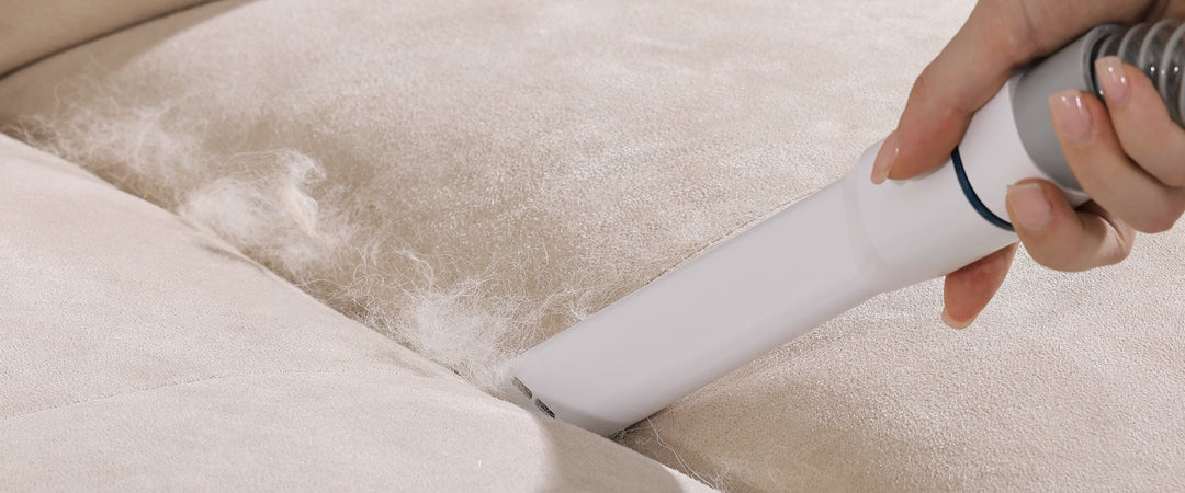 how to manage excess pet hair in your home