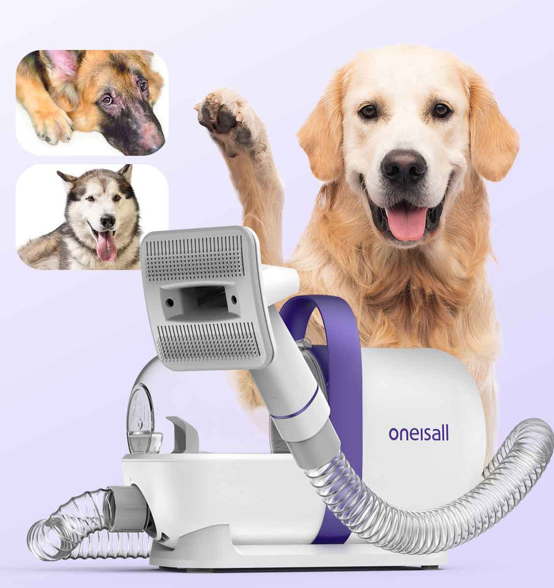 What Is the Difference of Grooming Short and Long Haired Dogs?