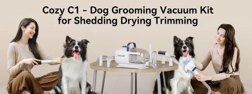 Best Vacuum For Pet Hair