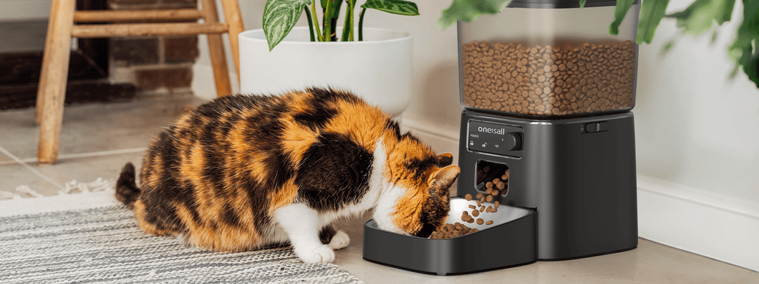 why automatic feeders are a game-changer for busy pet owners