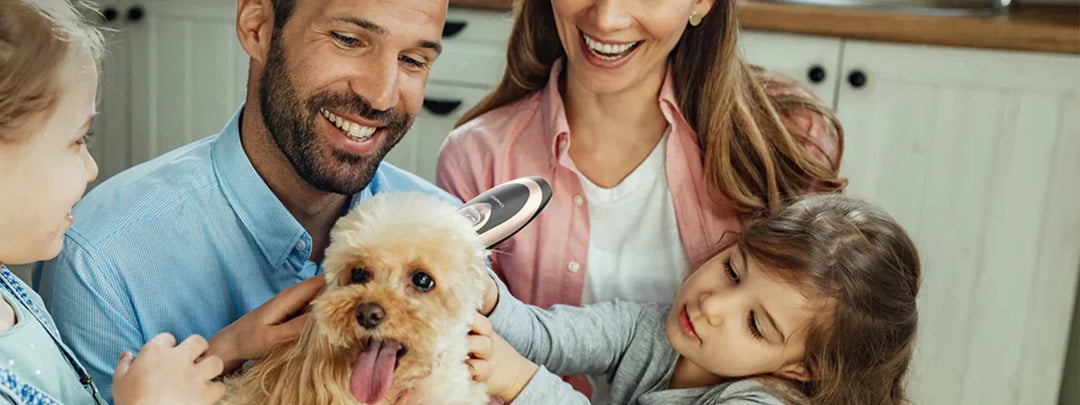 Why Do My Dog Clippers Keep Jamming?