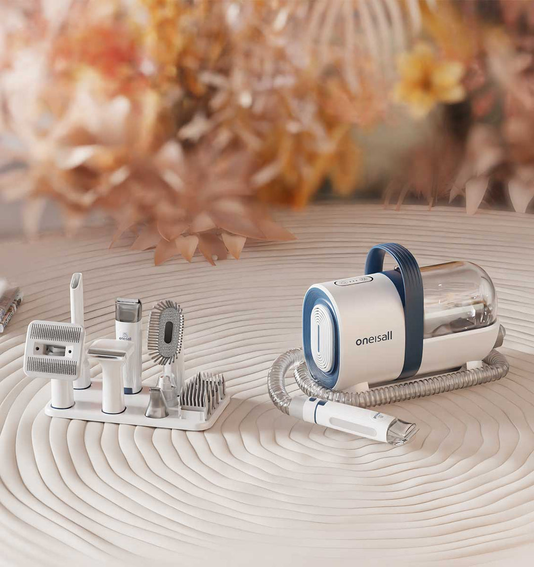 Why Groomed Your Dogs In The Winter Is So Important?