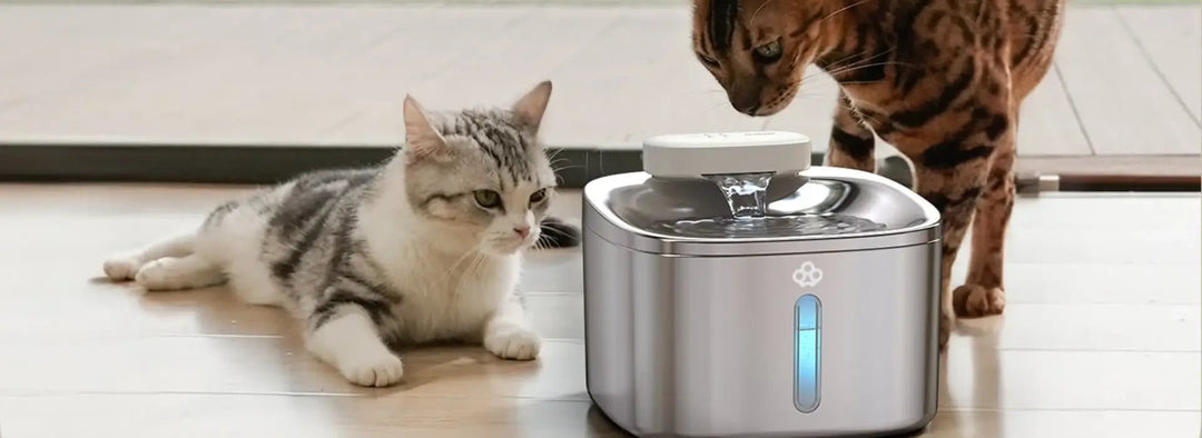 Cat Water Fountain