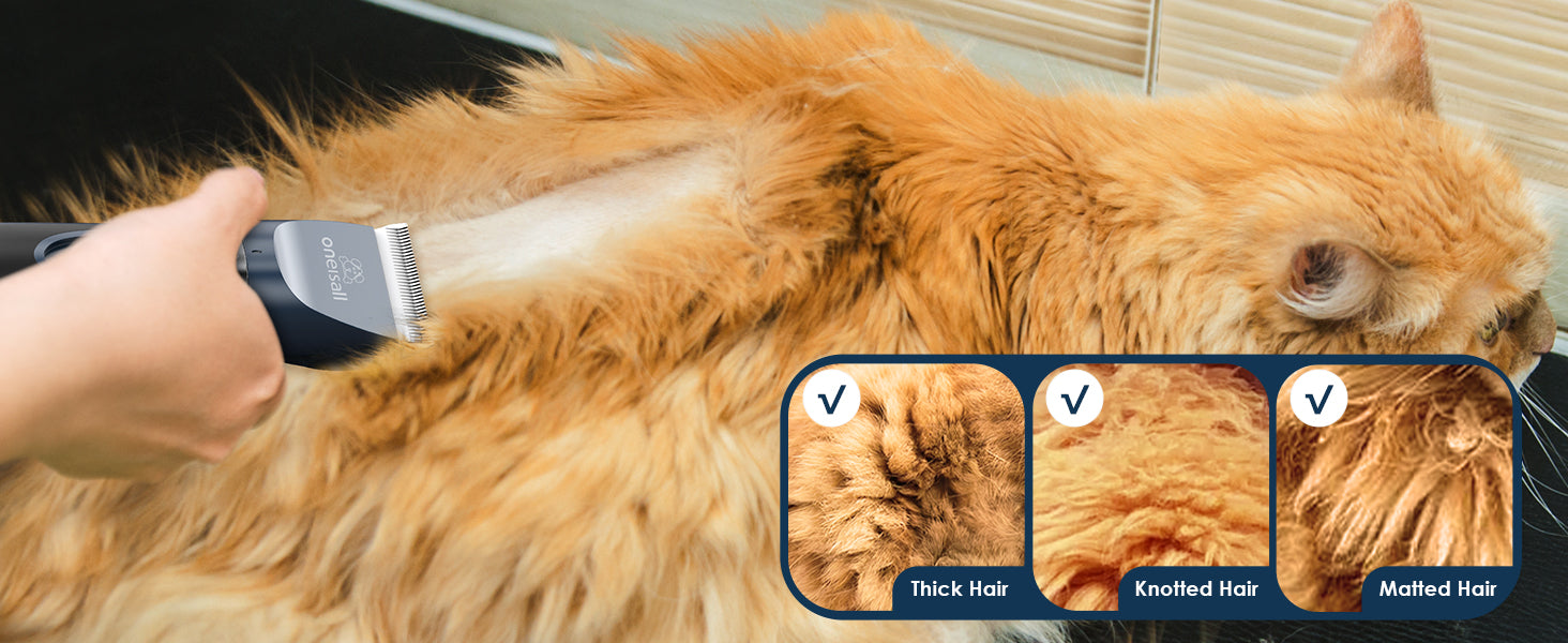 Grooming Brush