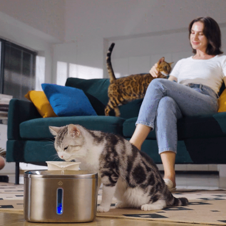 3.5L Corded Pet Water Fountain with 11PCS Filters