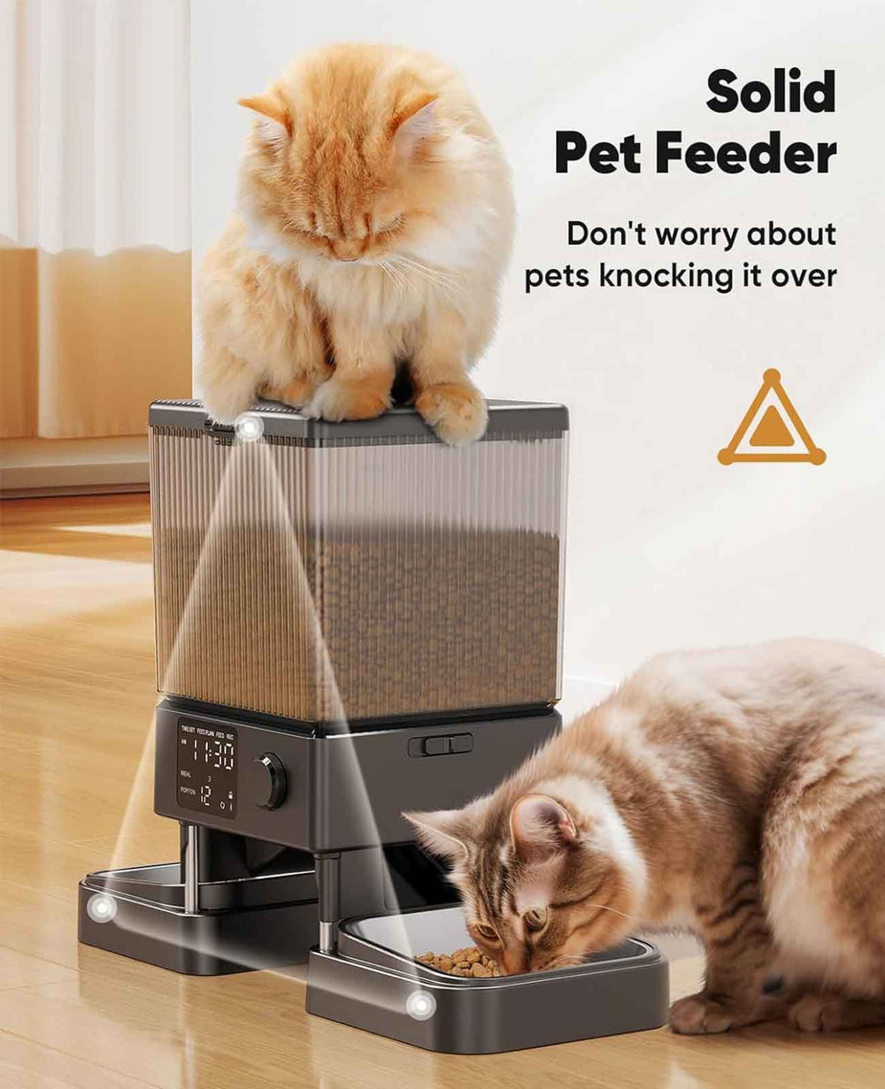 Dispenser per alimenti per gatti con quadrante automatico Oneisall per –  oneisall