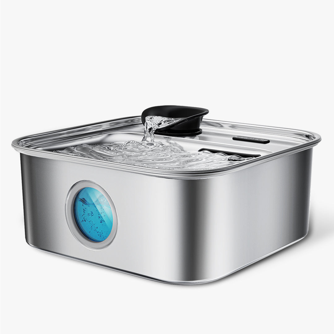 10L Pet Water Fountain for Large Dogs