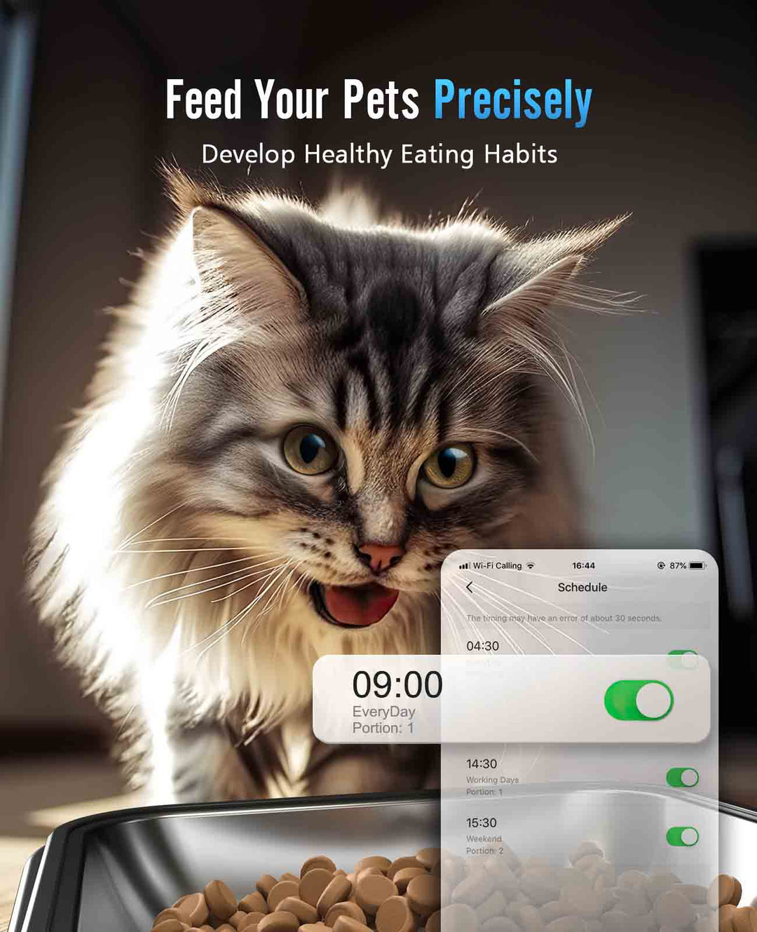 feed your pets precisely