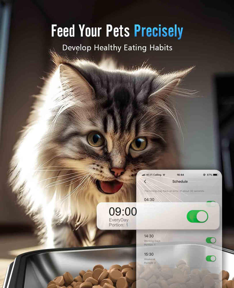 
                  
                    Oneisall 5L automatischer Katzenfutter spender mit 5G Wi-Fi und APP-Steuerung
                  
                
