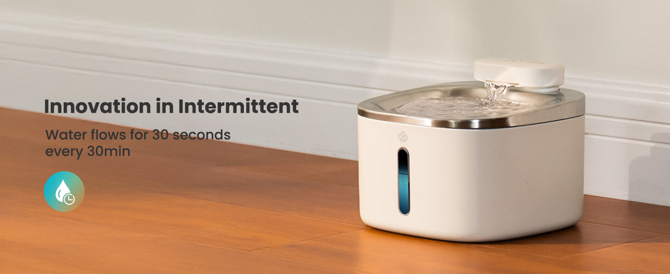 small pet drinking fountain