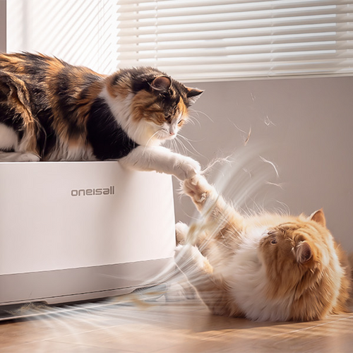 What Is a Cat Bed Air Purifier? How It Works & Filters Fur