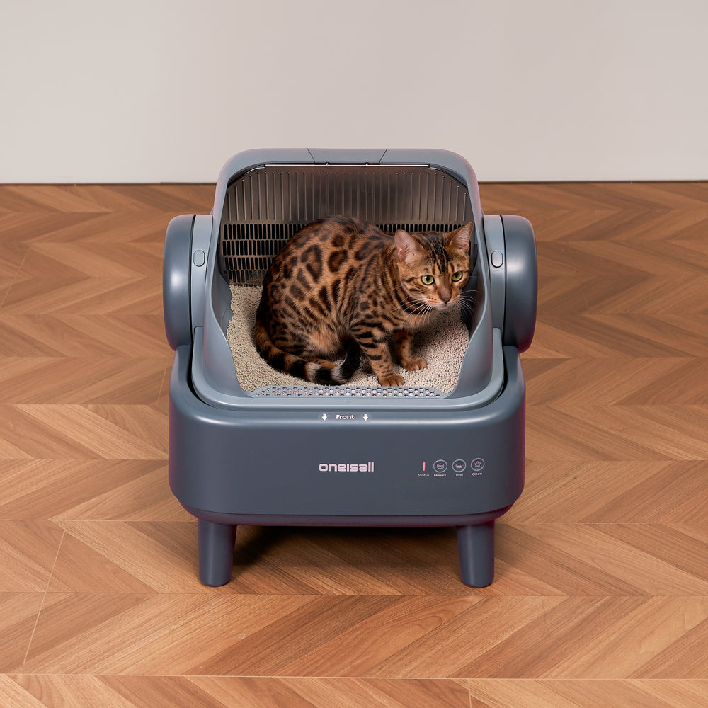 Cat uses Ease S1.