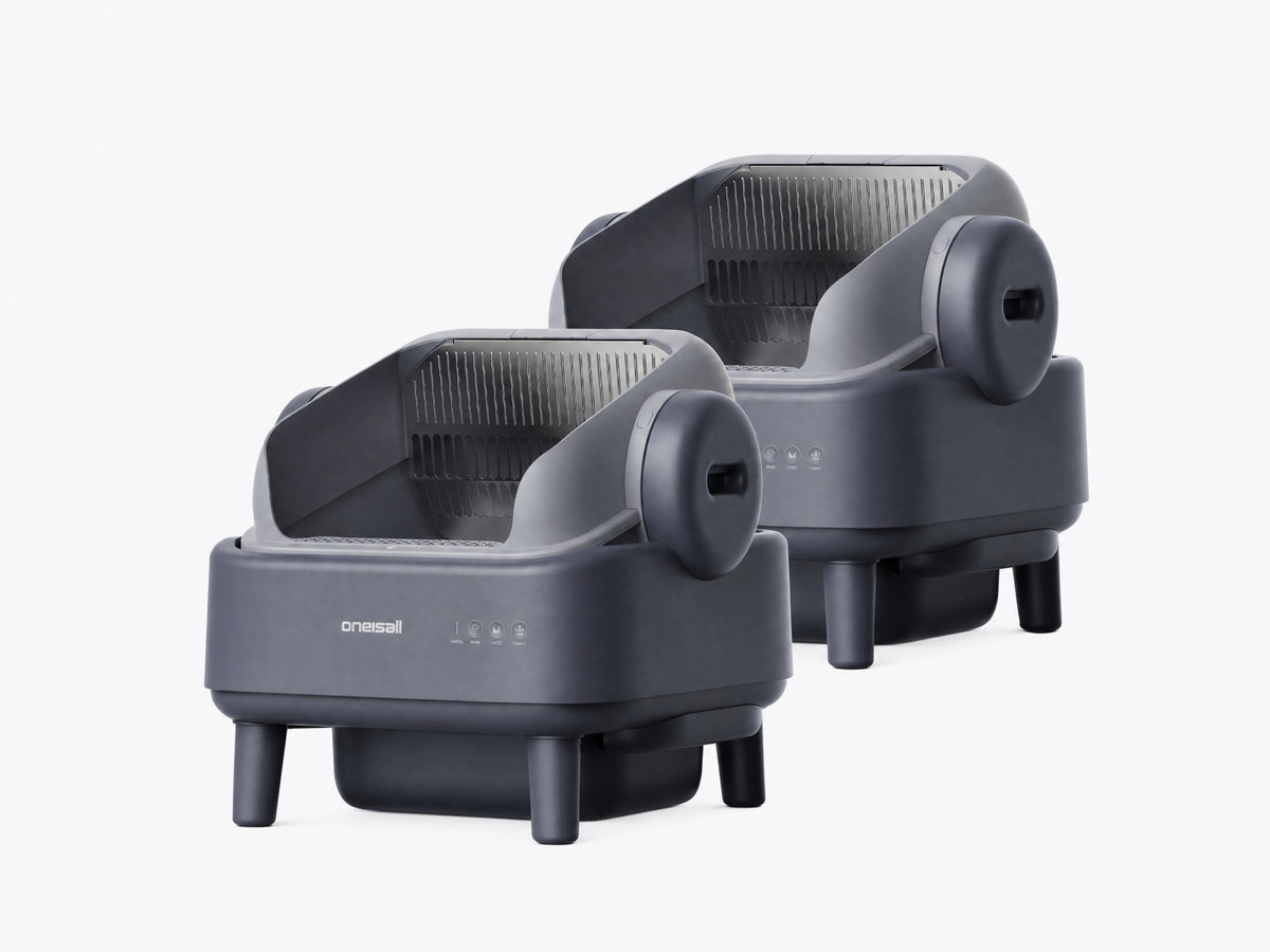 A Litter Box on Every Level