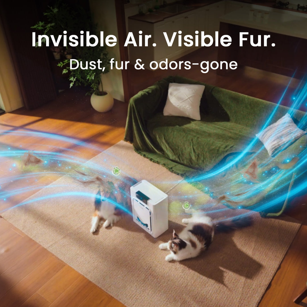 Oneisall Ease S1 Self-Cleaning Litter Box