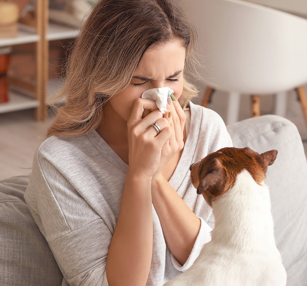 Allergy Triggers at Home