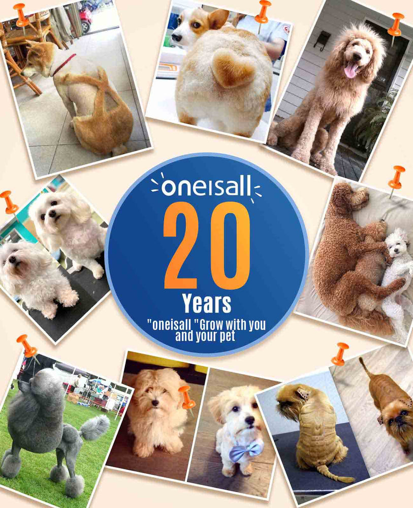 
                  
                    Oneisall Tondeuse pour chiens à double lame à faible bruit -N5
                  
                