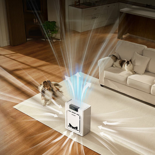 Do Air Purifiers Really Remove Pet Hair? The Truth, Science, and Best Picks for 2026