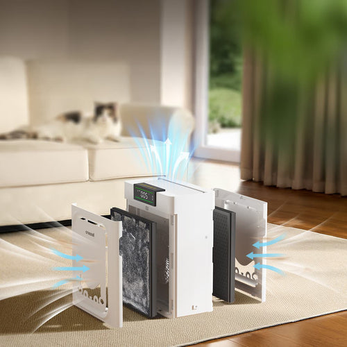 Can Air Purifiers Help Pet Allergies? The Medical Science, Common Myths, and 2026 Best Practices