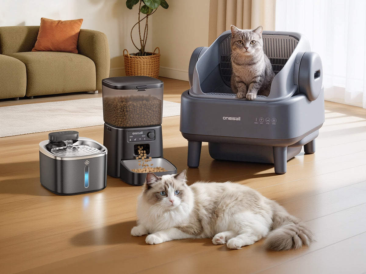 Everything Your Cat Needs