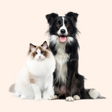 Multi-Pet Picks