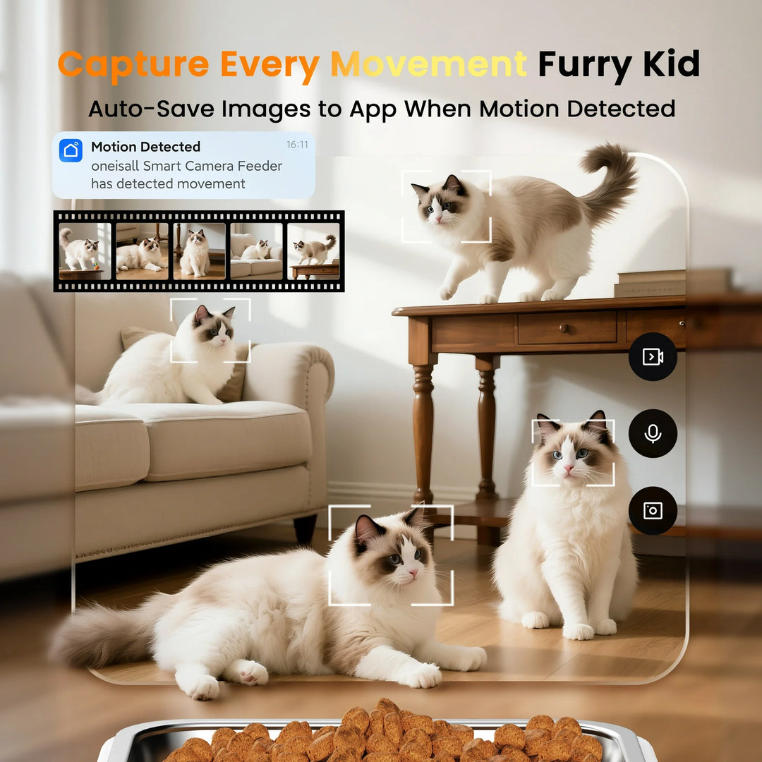 Oneisall 6L Automatic Cat Feeder with Camera-App Control