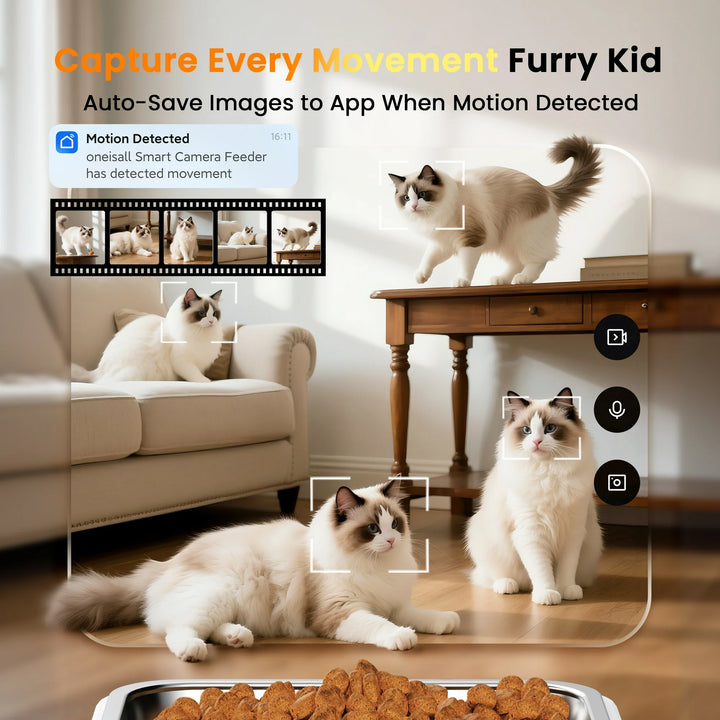 Oneisall 6L Automatic Cat Feeder with Camera-App Control