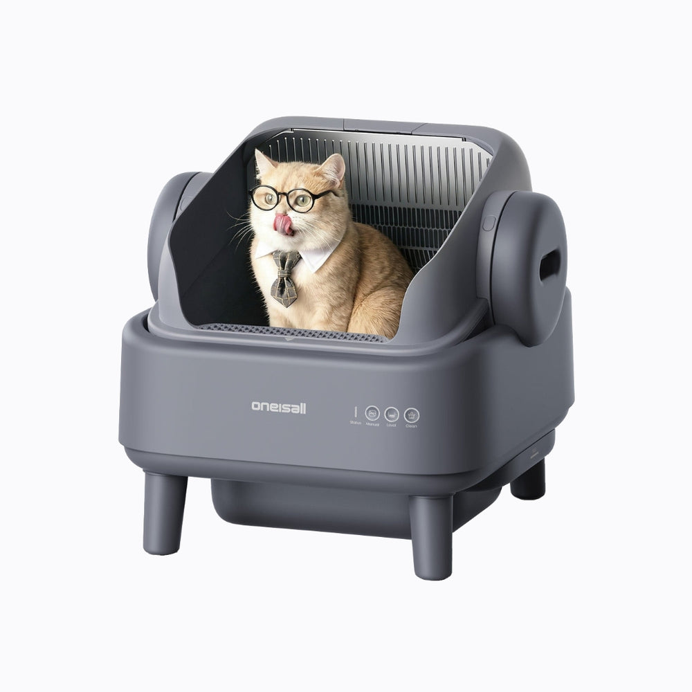 Litter Box Cleaning Made Easy