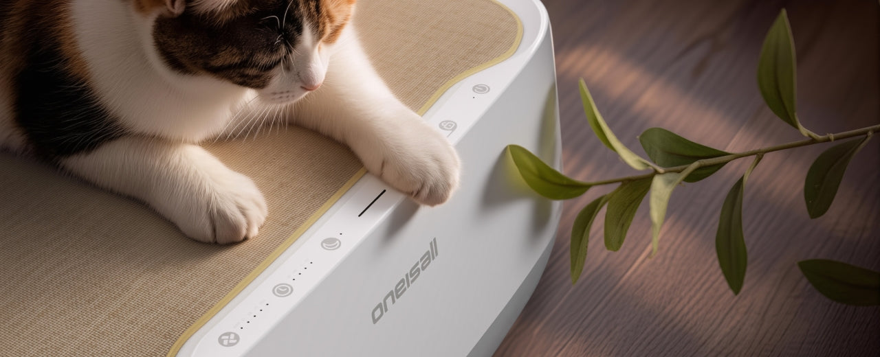 Extra Protection for Your Pet
