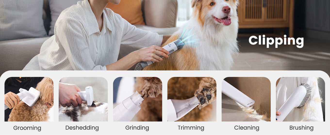 Full Grooming Set Included