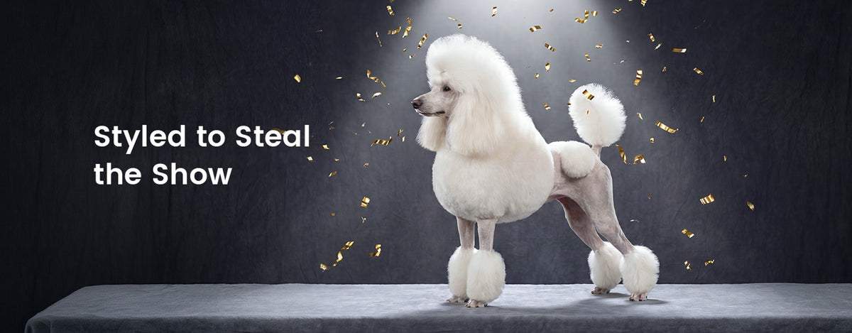Every coat. Every breed. Show-ready.