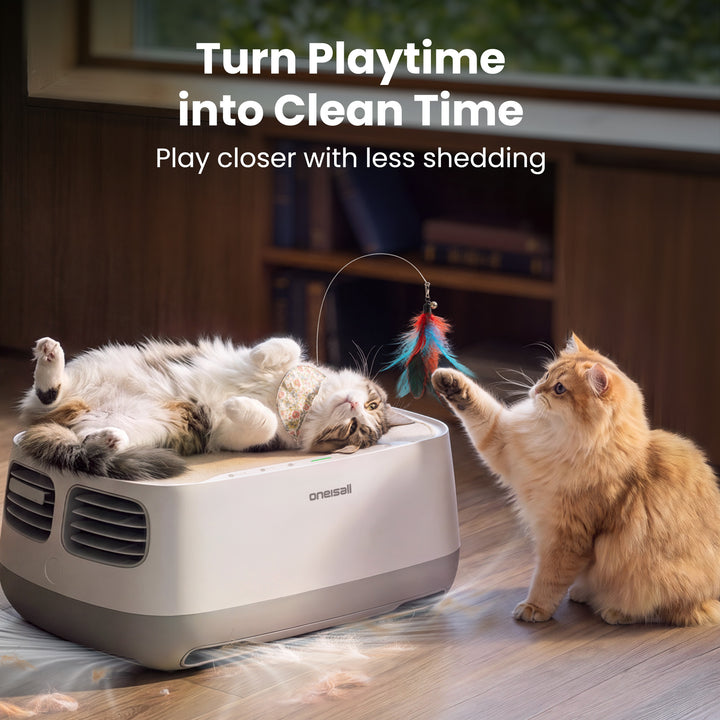 Oneisall Accessories for 2-in-1 Cat Bed Air Purifier