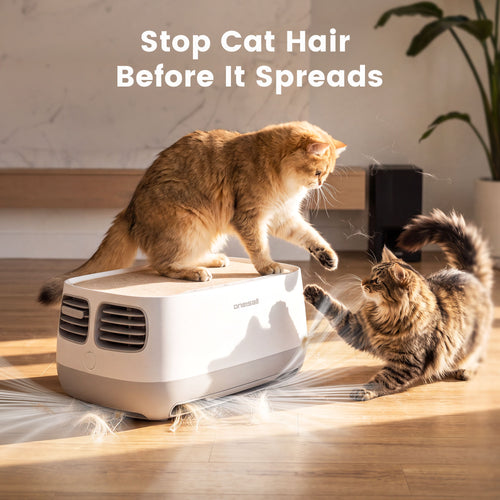 Oneisall 2-in-1 Cat Bed Air Purifier