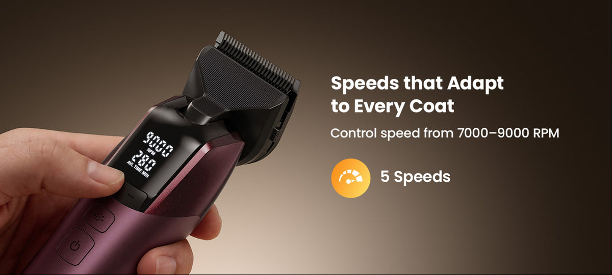 5-speed adjustment