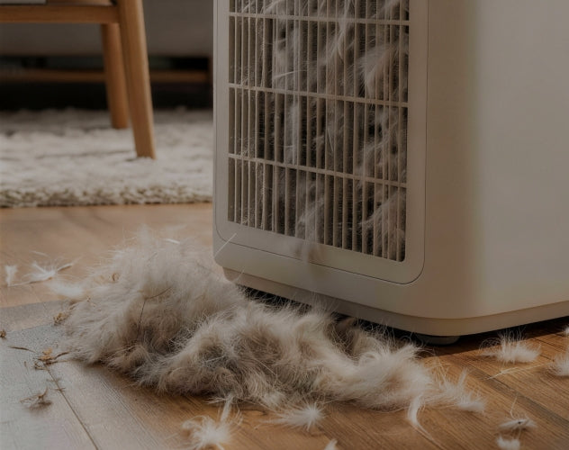 Regular Air purifier