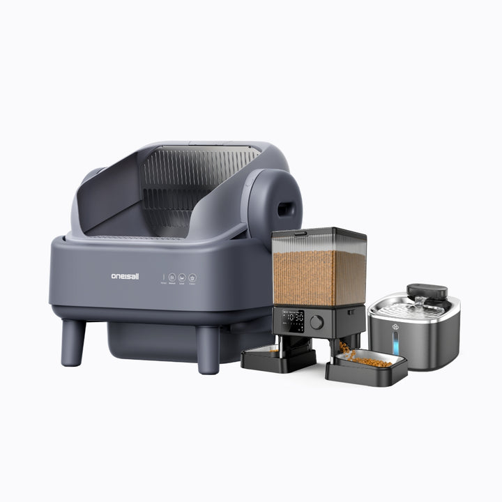 Self-Cleaning Litter Box