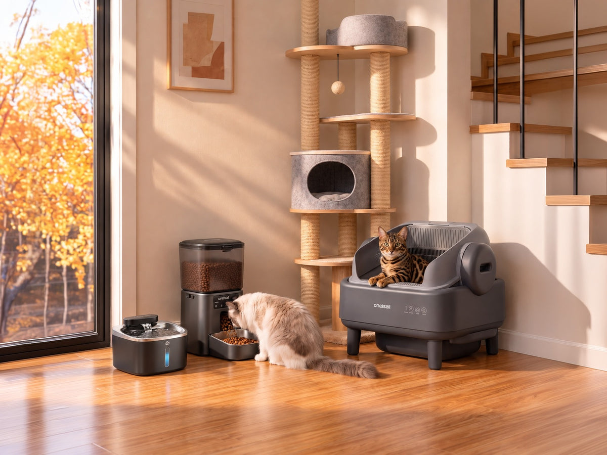 Litter Box, Feeder & Water Fountain Set