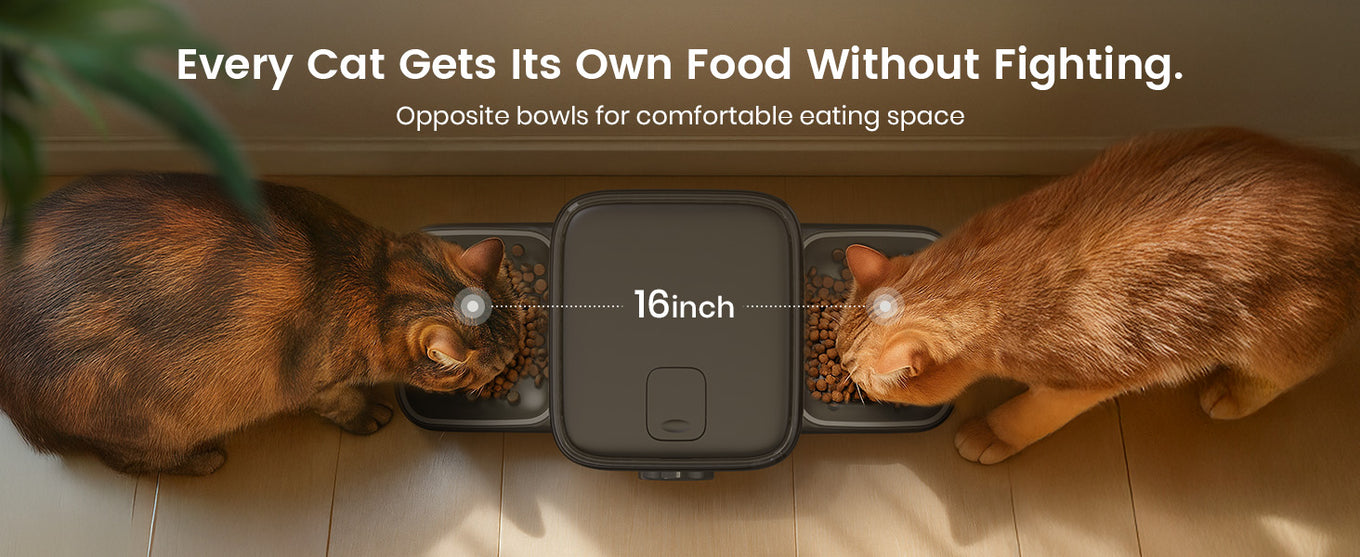 oneisall automatic cat feeder