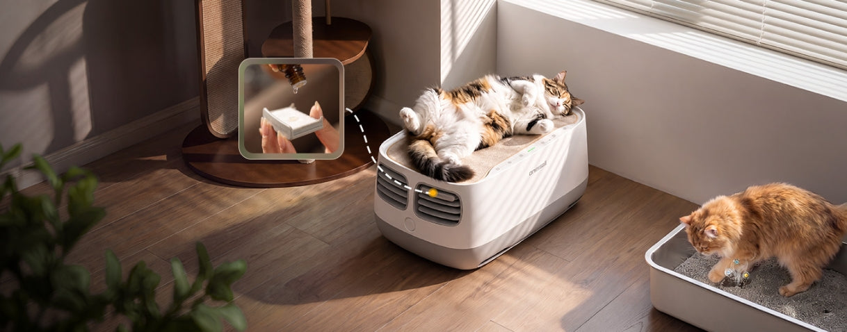 Controls Pet Odors