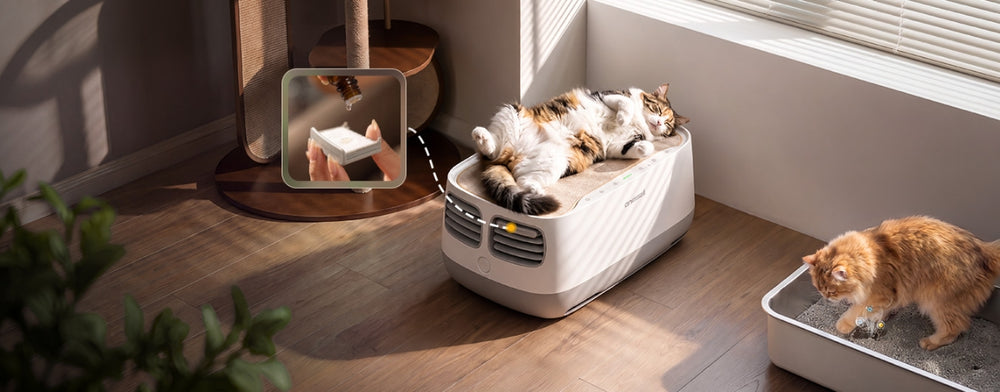 Controls Pet Odors