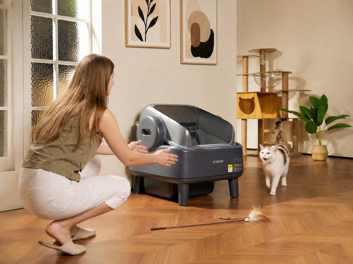 Self-Cleaning Litter Box